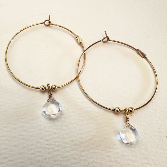 Delicate Hoop with Crystal Earrings